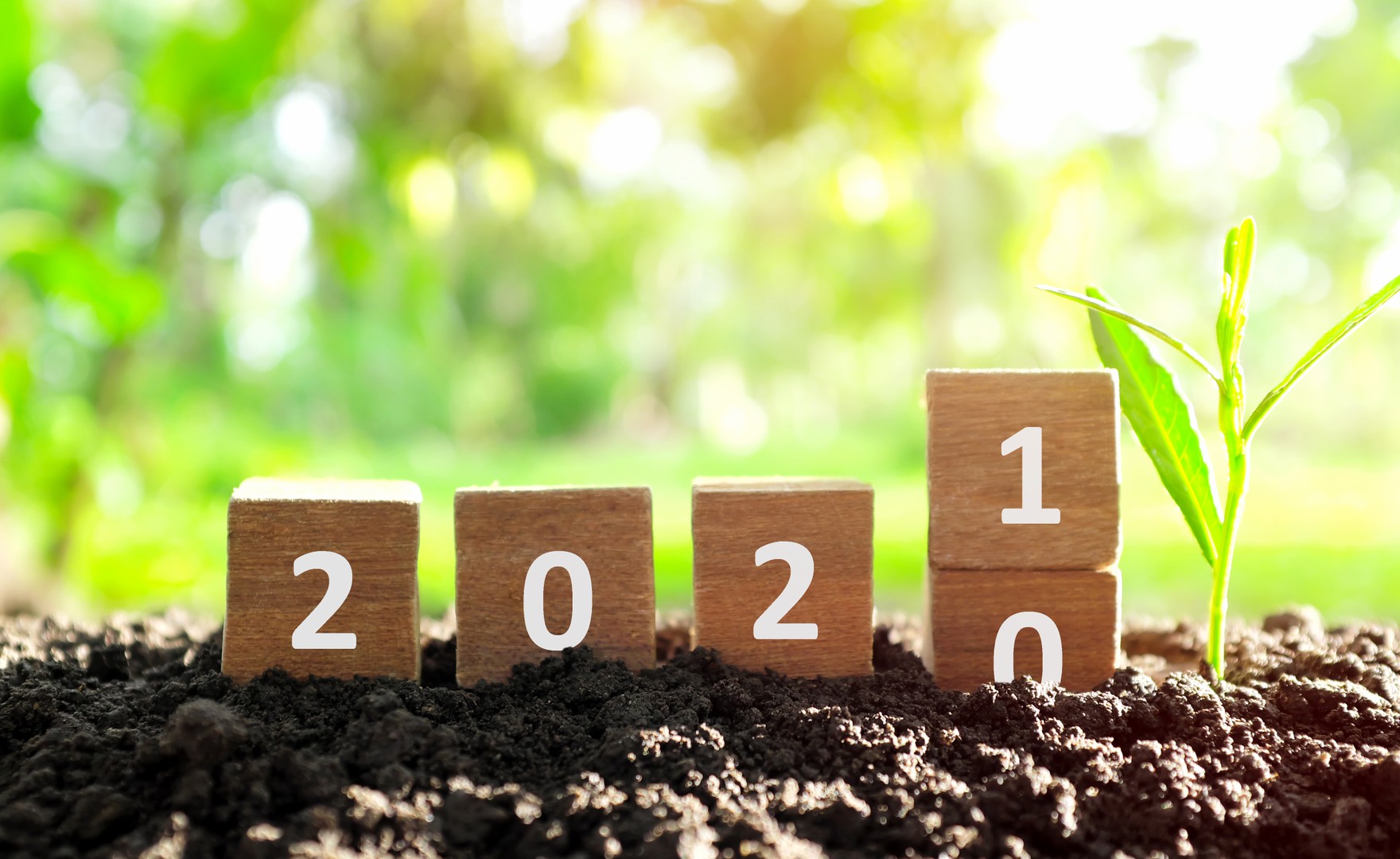 3 questions to ask yourself if you are thinking about training