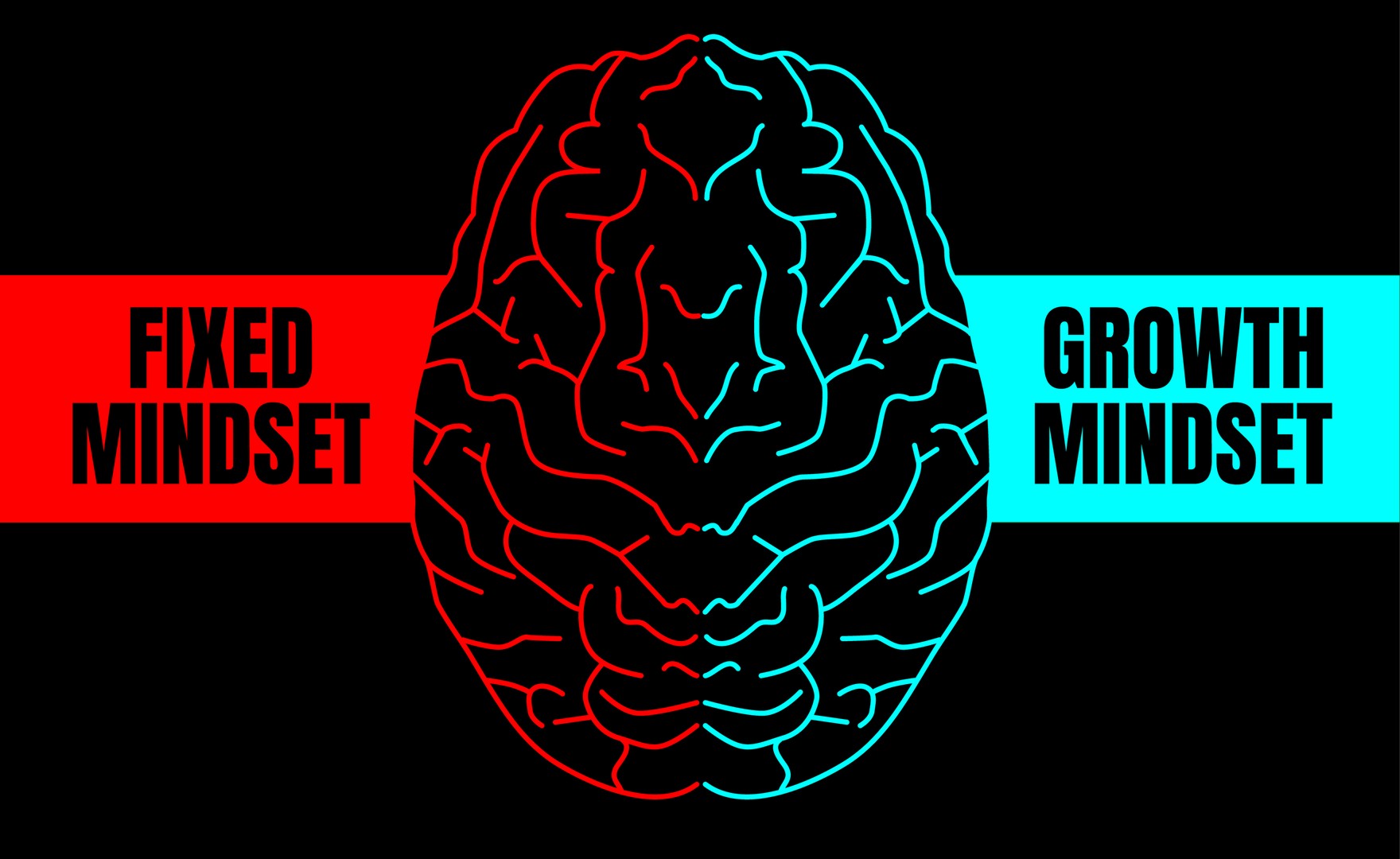 A brain with 'fixed mindset' and 'growth mindset' on each side