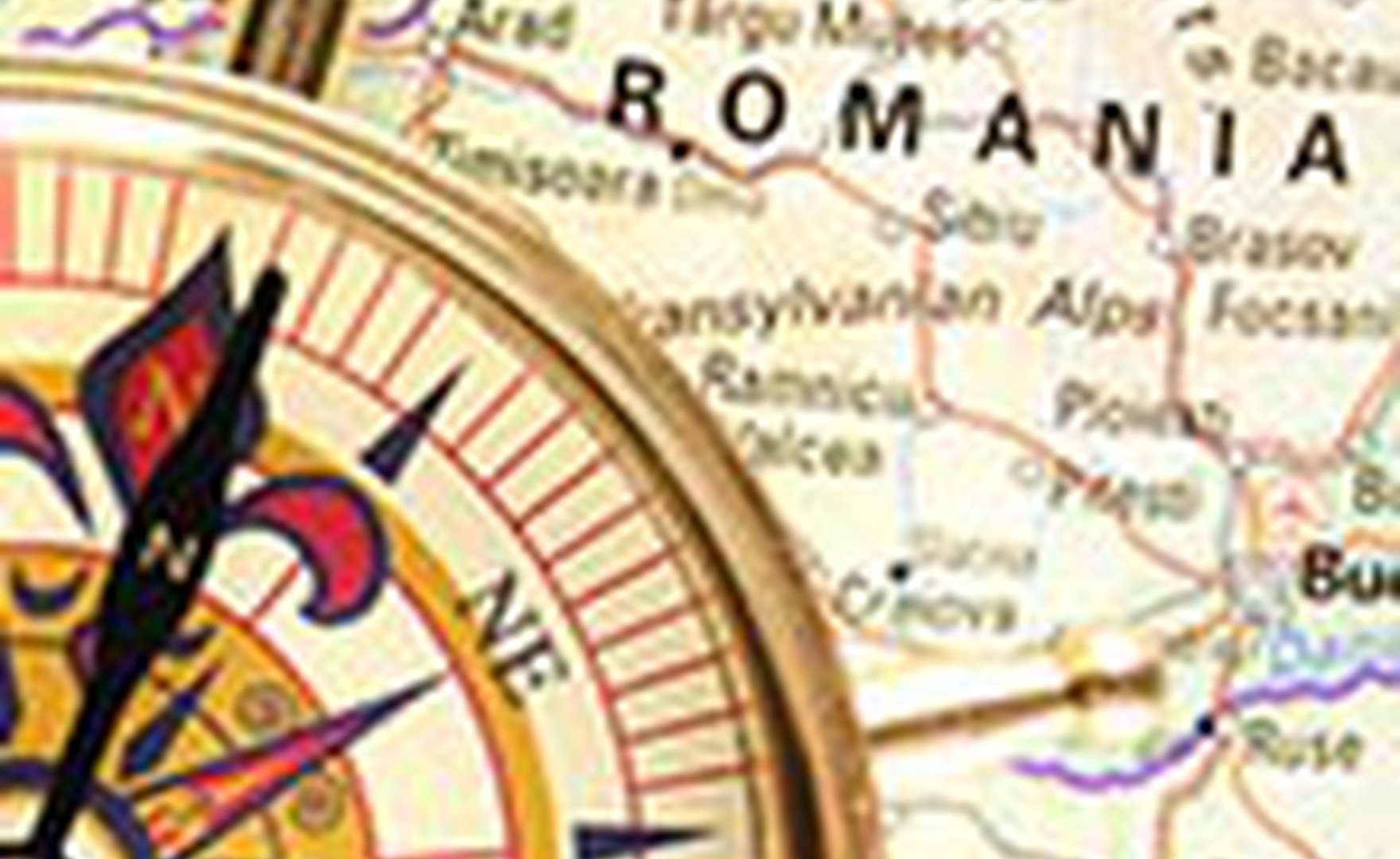 AoEC brings Systemic Team Coaching to Romania for the first time