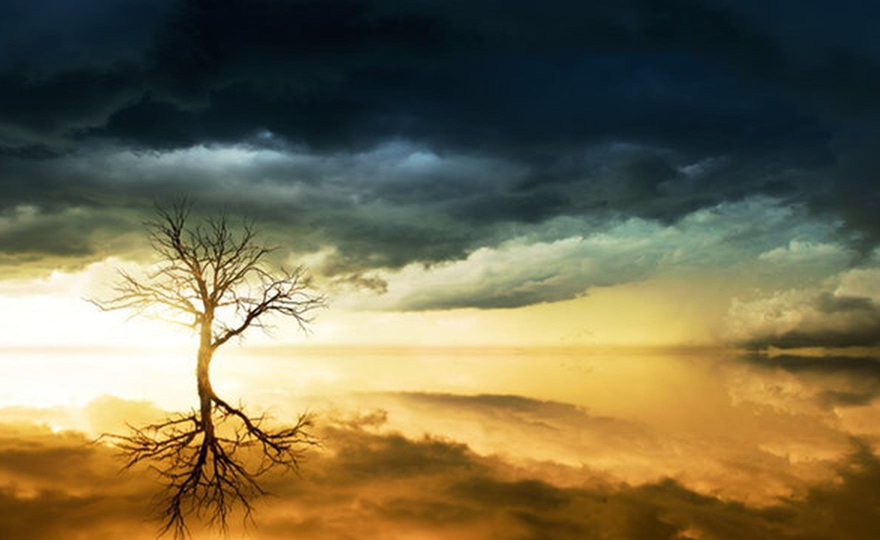 What does it take to be an executive coach?