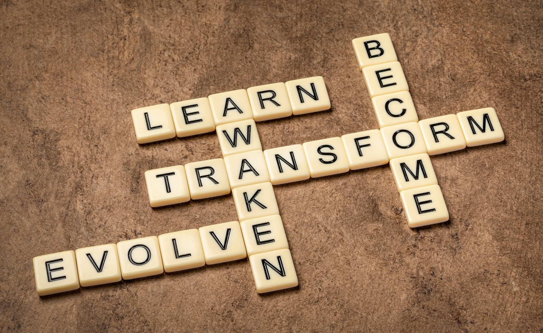 awaken, learn, evolve, transform and become crossword