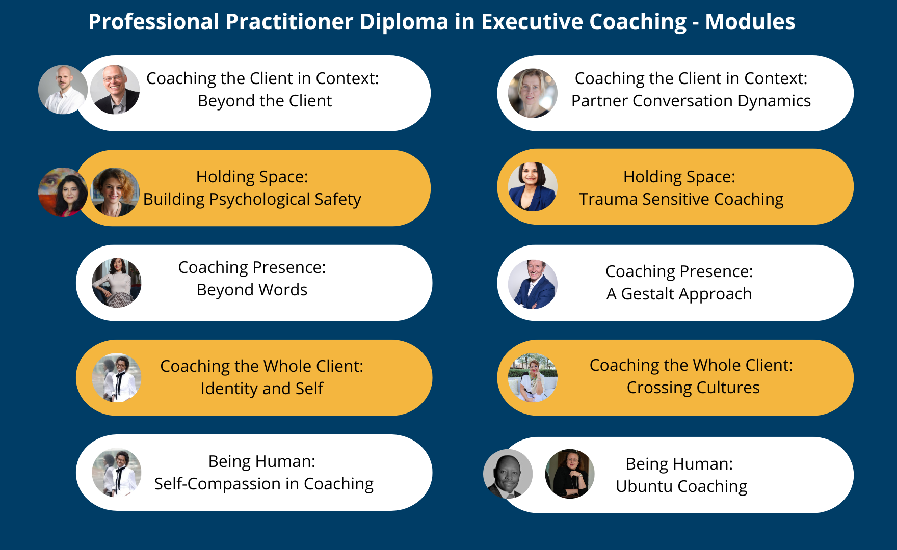 Professional coaching CPD modules