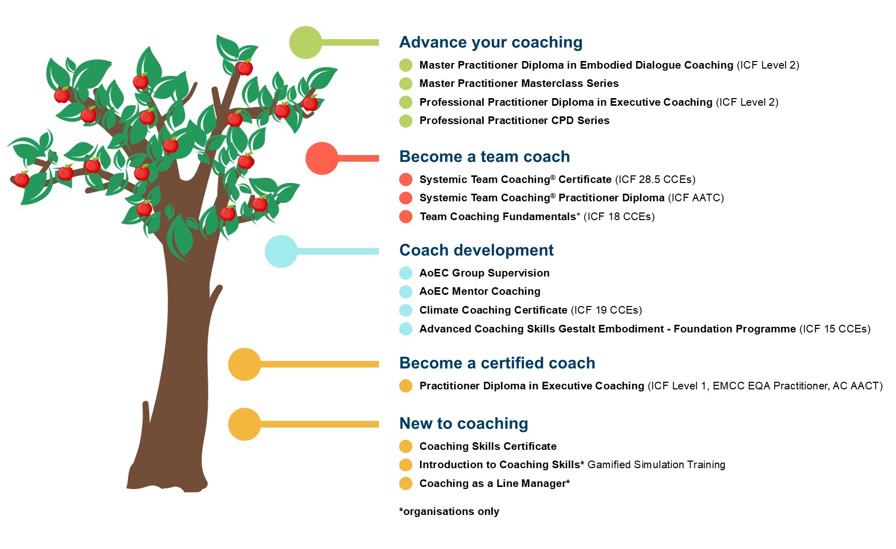 Infographic of tree showing all of AoEC's available programmes